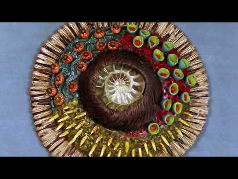 Shelley Atwood Artist