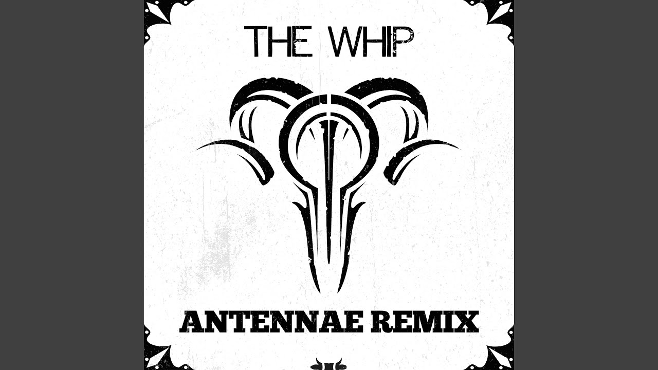 The Whip (An-Ten-Nae Remix)