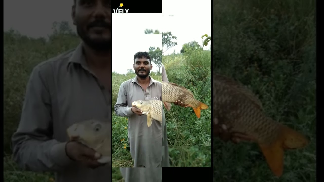 fishing at rawal dam qarash nala 🎣🐟🐠🎣🐬🦈🐋
