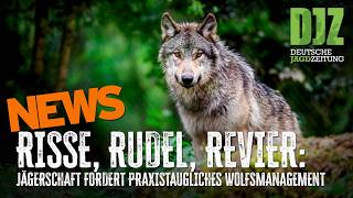 DJZ-News 15. April 2026 – 🐺 Wolf im Jagdrecht