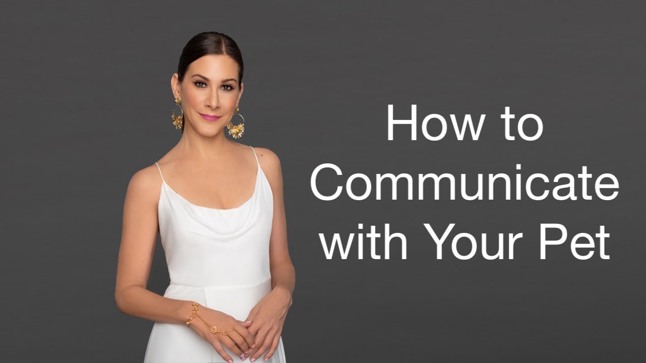 How to Communicate with Your Pet