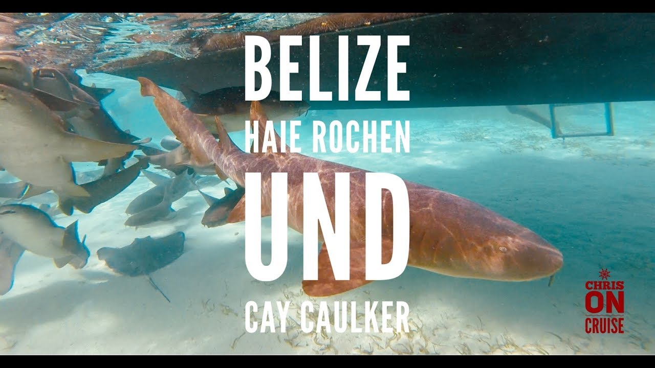 Chris On Cruise Belize Haie Rochen Und Cay Caulker Karibik Mittelamerikakreuzfahrt