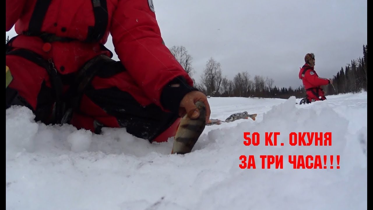 Что ловится на оке