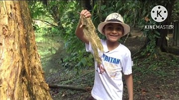 Wild Fowl Trust Adventure