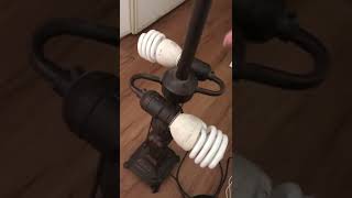 Philips spiral CFL (mini twister)