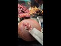 Char Siu - Live Streaming 2026-09-13 09:21:46