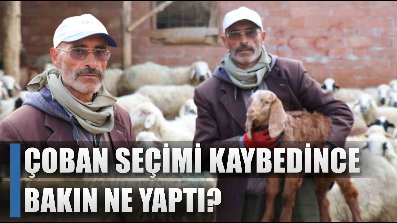 Çoban, Muhtarlık Seçimini Kaybetti Ünlü Oldu! Bakın Akrabalarına Bakın Ne Yaptı? / AGRO TV HABER