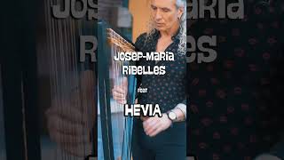 Tàlveg Josep-Maria Ribelles Feat. Hevia #music #folkmusic #harp #bagpipemusic #bass #bodhran