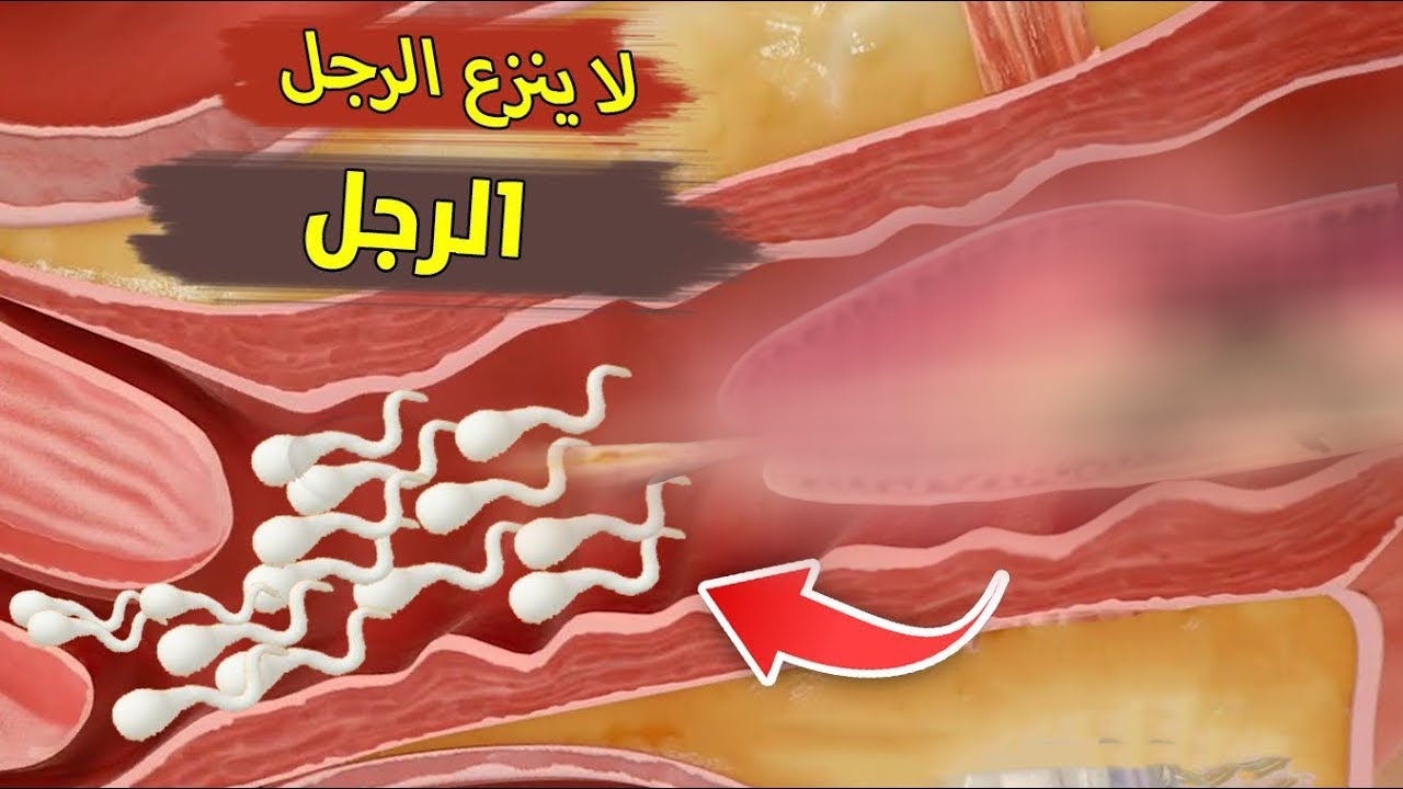 لا ينزع الرجل حتي تقضى المرأة