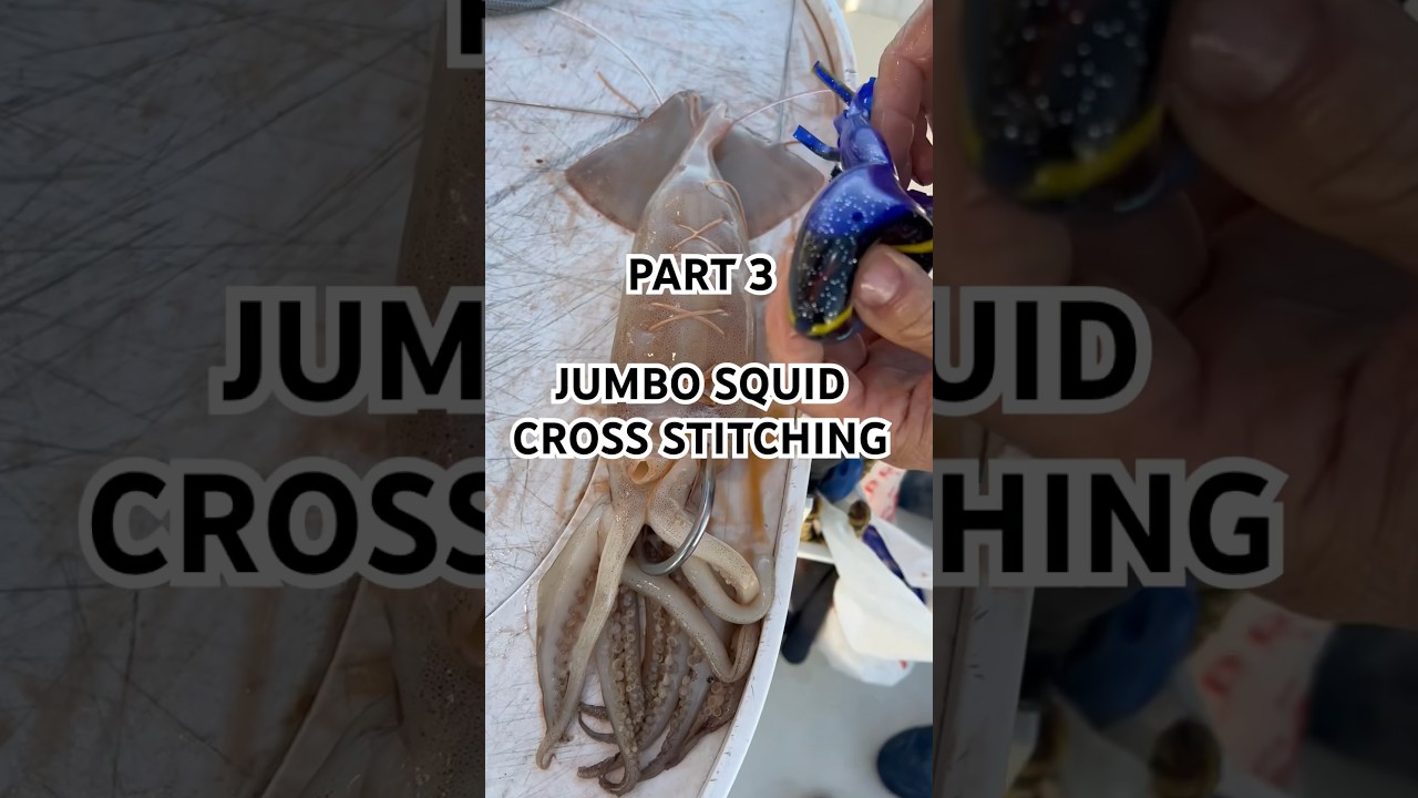 Part 3 -The Cross Stitch.  The best way to rig Jumbo Squid for Swordfish in SoCal with a large skirt