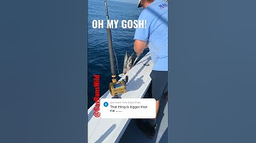 Look at the size of this WAHOO!! #shorts #fishing #wahoo #offshorefishing