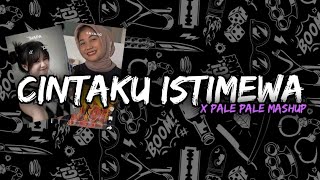 DJ CINTA ISTIMEWA X PALE PALE MASHUP REMIX SLOW BEAT  DJ Teguh Palepi