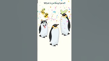 Dop 2 (delete one part) level 1248 Walk through solutions