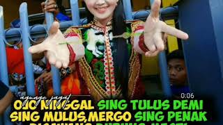 STORY WA - NGELIYO