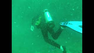 Vortex Springs Dive 1 Part 1