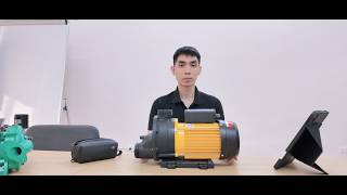 Máy bơm hồ spa Maro TDA 150: 1.5hp, vận hành siêu êm, chuyên dụng cho bồn sủi