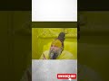 पति -पत्नी का रिश्ता कैसे संभाले....... #premanandjipravachan #premanand