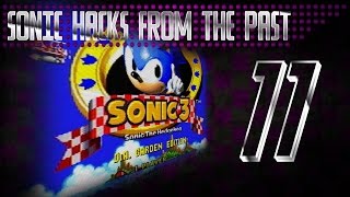 Sonic 3 - D.A. Garden Edition - HEDGEHOGS IN SPACE | Sonic 3 D.A. Garden Edition (OLD) #11 - User video