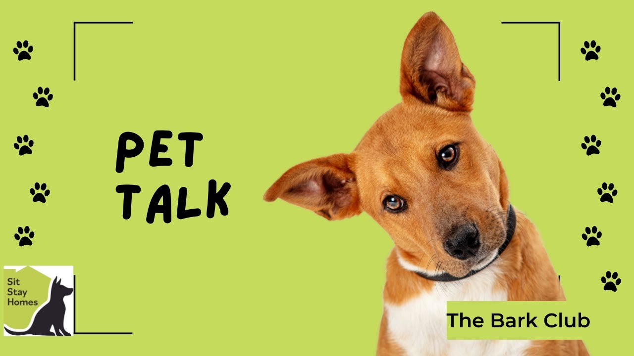 Pet Talk BARK CLUB Gretna NE YouTube
