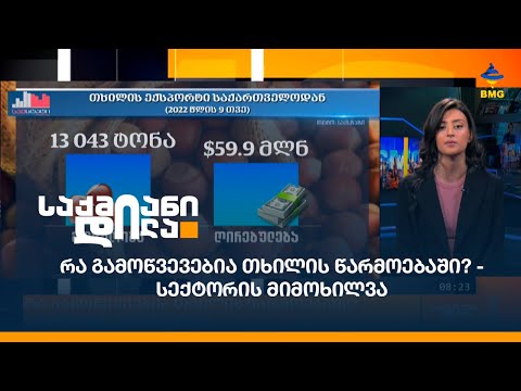 რა გამოწვევებია თხილის წარმოებაში? - სექტორის მიმოხილვა