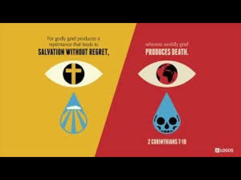 Into the Word 78 The Blessings of Repentance - YouTube