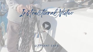 Master the 'Elephant Ears' Line Coiling Technique