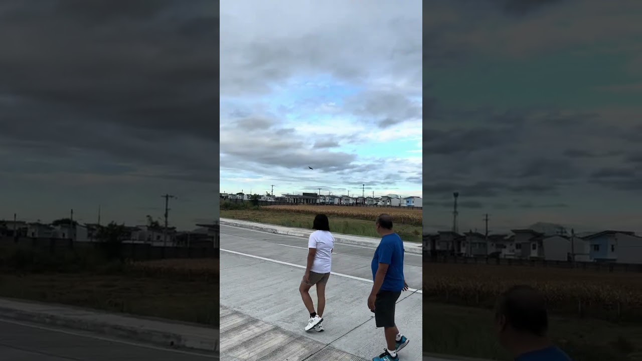 Отличная работа, Паймон!