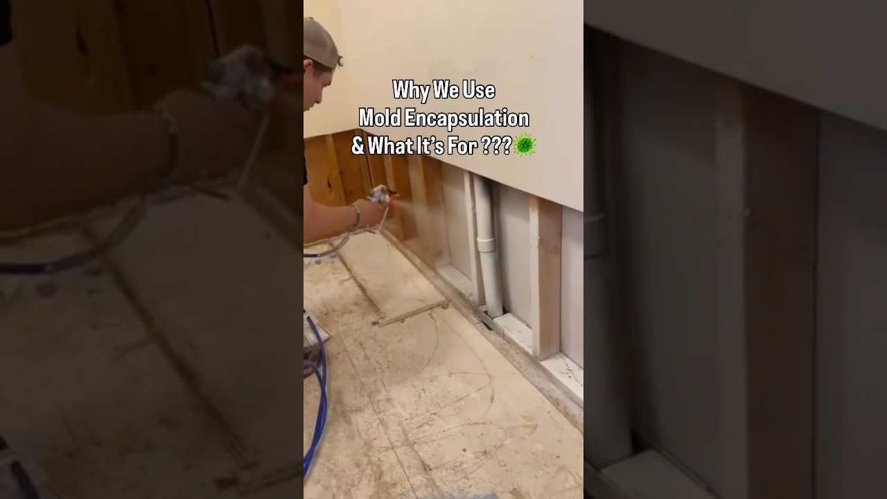 Why do pros encapsulate mold? 