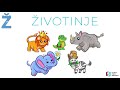 Naucite SLOVA Sa Nama E Ž Z Slova Naucite SLOVA Sa Nama E Ž Z Slova