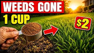 Don't Buy Fertilizer! This $2 Trick Is All You Need