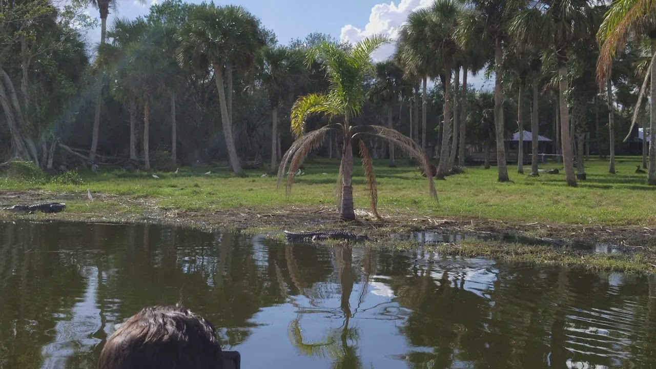 Lake Trafford Air Boat Tour, Immokalee Florida YouTube