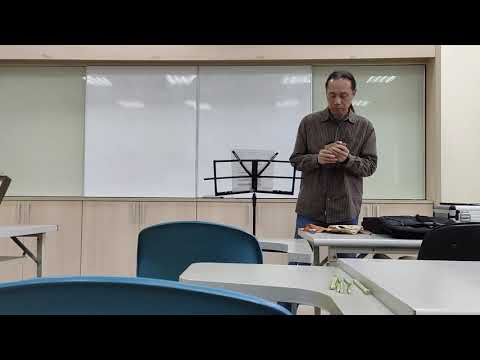 假如愛有天意-ocarina cover