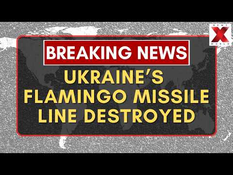 Ukraine's Flamingo Missile Production Line Destroyed in Strike, Zelensky Confirms | NewsX World