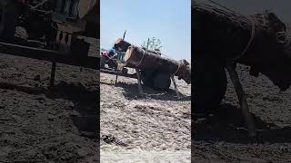 Winching Timber: How Farm Tractors Load Heavy Logs for Rural Timber Transport