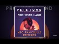 Pete Tong The Heritage Orchestra Feat Disciples Promised Land Nic Fanciulli Vocal Remix mp3