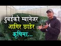 लाखौंको जागिर छाडेर कृषिमा भविष्य खोज्दै डिग्री होल्डर युवा | Sujan Shrestha