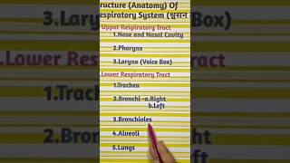 #Anatomy Of Respiratory System@#Shorts @Trending 🤫
