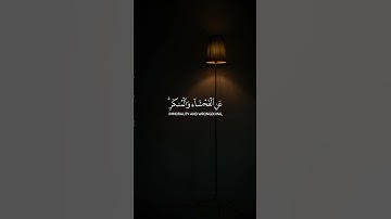 سورة العنكبوت - الآية ٤٥                         Surah Al-'Ankabut [45] @NoCreditQuranOverlay
