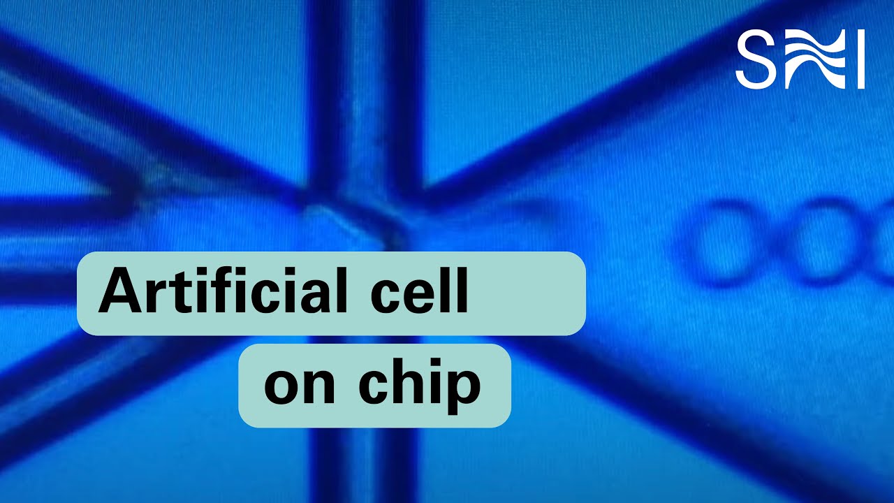 Artificial cell on chip