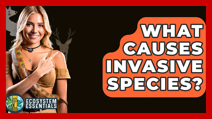 What Causes Invasive Species? - Ecosystem Essentials