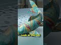 Frame One Episode 33: Swirl a Marbled Paper Koi to Life! 🎨 (Nano Banana + Veo3)