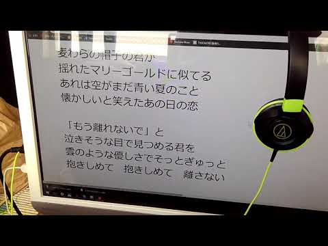 【アカペラ】マリーゴールド/あいみょん【田中優(ｭｩ)】