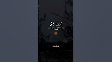 تلاوه خاشعه 🎧❤️القارى علي الدليمي🎧💐 @علي_الدليمي-95 #اكسبلور #المصحف #راحة_نفسية #حالات_واتس
