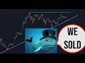 Whale wallets dumped Bitcoin - Market Update