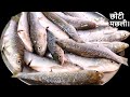 छोटी मछली बनाने का बहुत ही आसान तरीका हिन्दी में देखें/Machhali recipe/fish recipe/ Maach recipe‪
