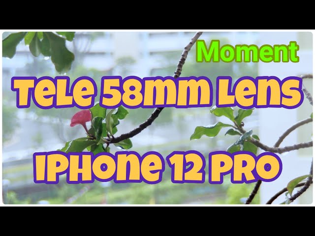 Moment Tele 58mm Lens iPhone 12 pro class=