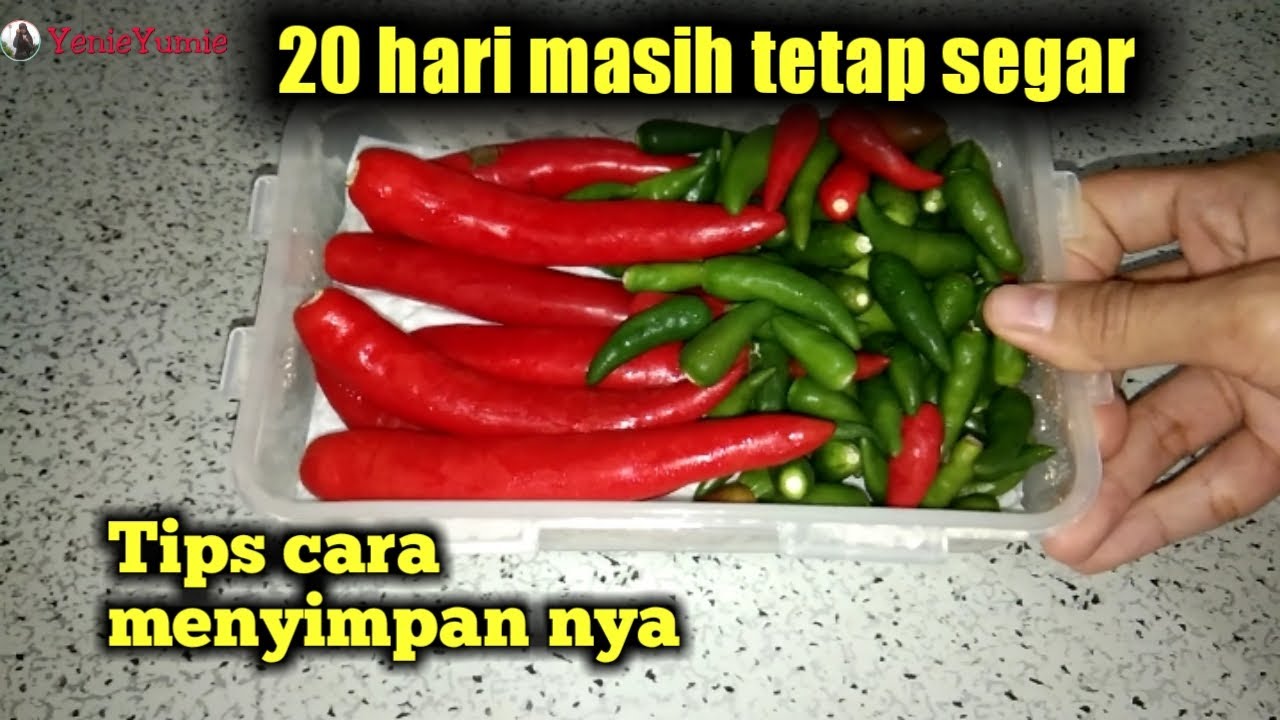 Tips Menyimpan Cabe Agar Awet Tidak Mudah Busuk 