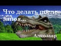 Что делать после запоя. Таблетки, средства. Советы по похмелью после запоя