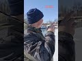 Как должен работать манок на уток #весенняяохота #hunting #duckhunting