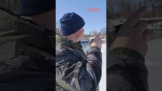 Как должен работать манок на уток #весенняяохота #hunting #duckhunting